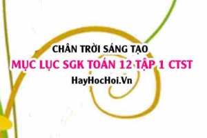 Mục lục SGK Toán 12 tập 1 Chân trời sáng tạo: Lý thuyết và bài tập Toán 12 Chân trời sáng tạo